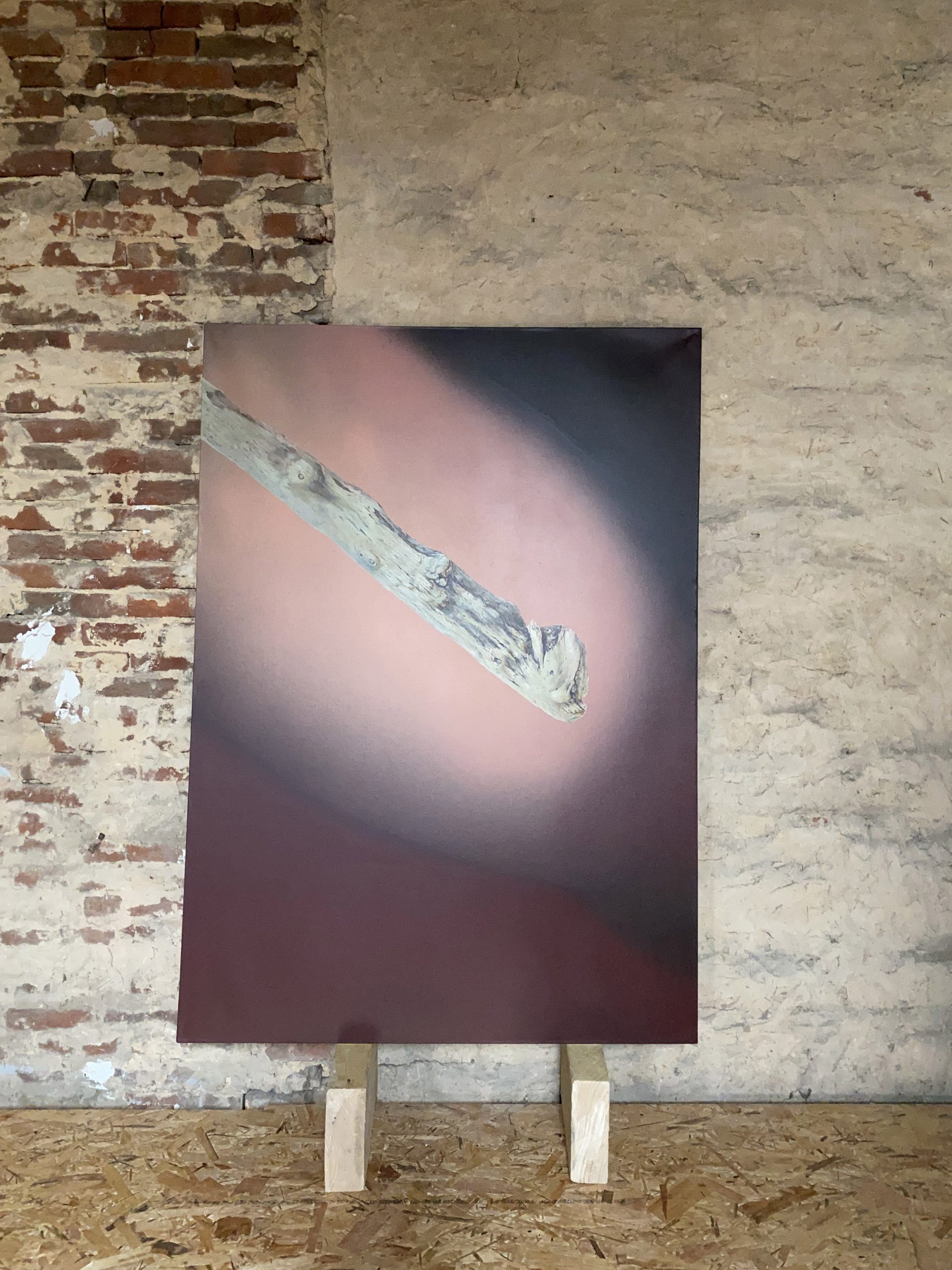 Interrogez le bois, peinture acrylique sur toile, série spécimens réalisée par David Antonio Loureiro