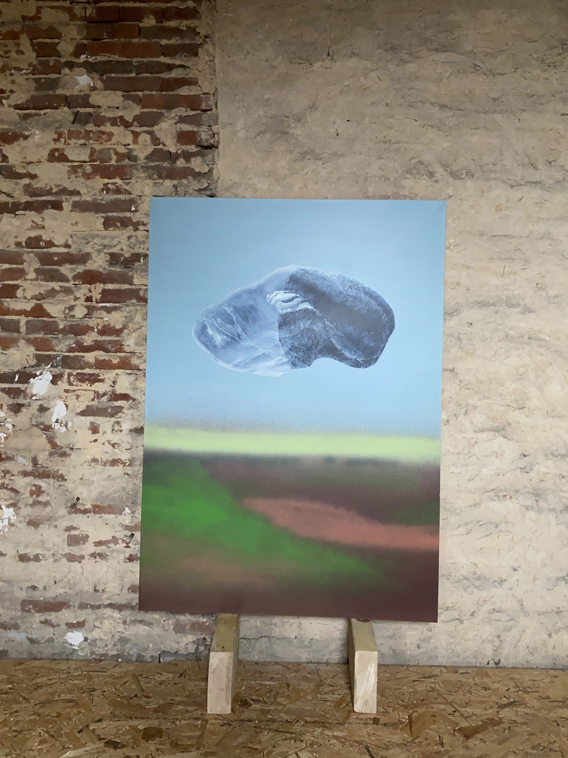 "Pierre de Mer sommeille", une peinture acrylique sur toile, série spécimens réalisée par David Antonio Loureiro
